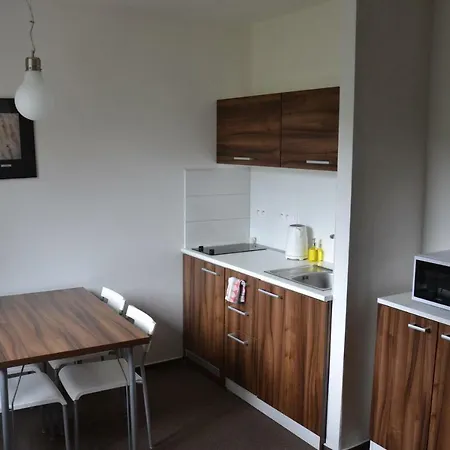 Apartment Horsky Kouty Loucna nad Desnou